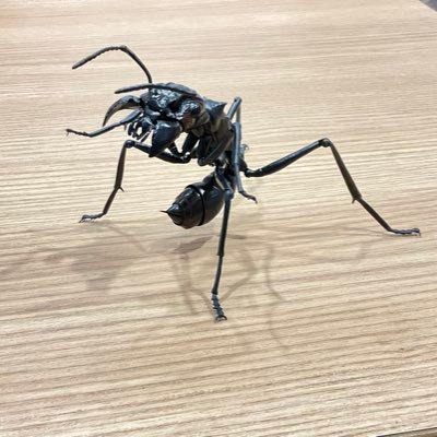 TAKE BEE@変態ガーディアン