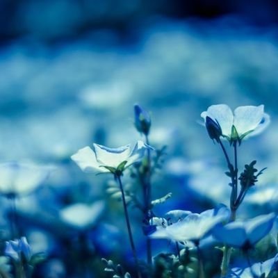 🐲takako🐲🧢🎁