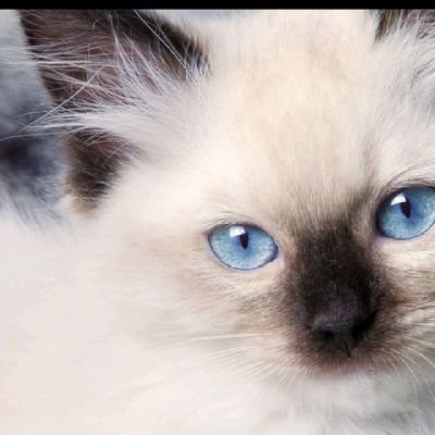 競馬サインの法則