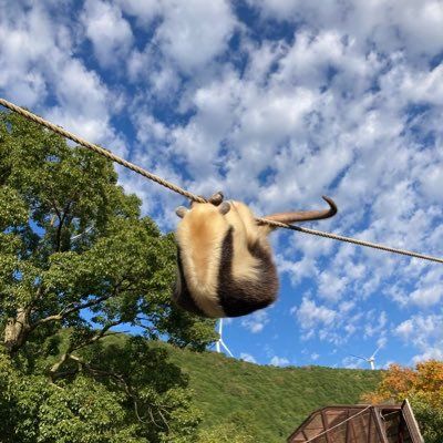 たまちゃん☺︎