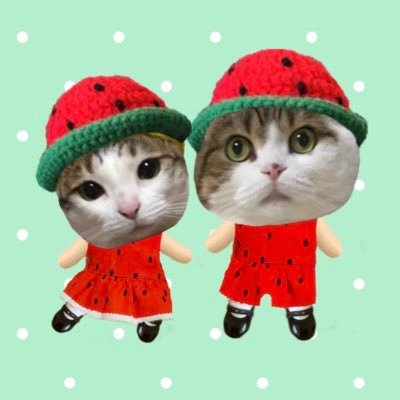 たんたん
