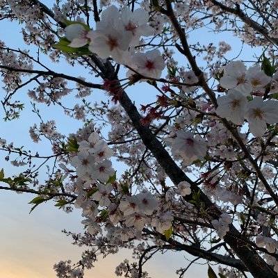 いさ #YUTA_ PERSONA