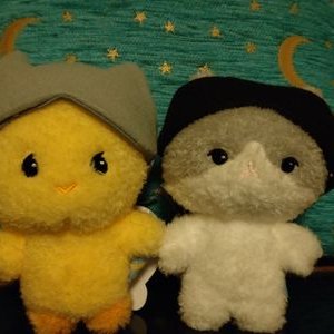 てむくんちゃん