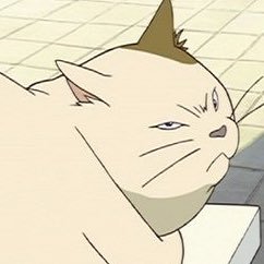 ちぢやさ