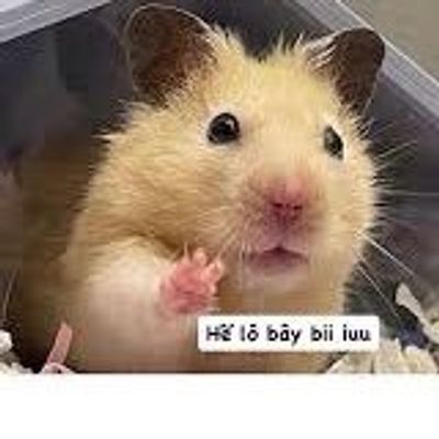 tieulinhnhi8