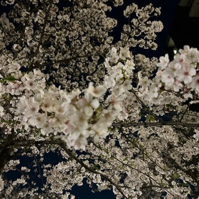 🍭たくあめ☔️