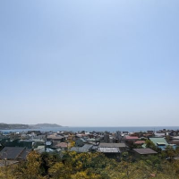 🕊️おさゆ🕊️