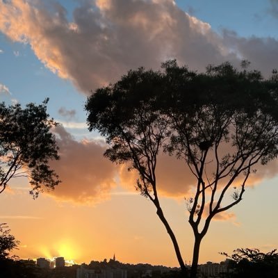 モモモ_タグ垢🏷