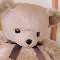 masaya[09マニフェスト再び]