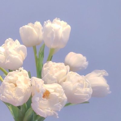 取引 / j関連買取はプロフィール確認