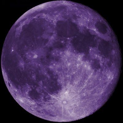 o̴̶̷̤ ·̭ o̴̶̷̤