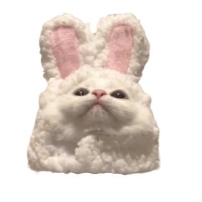 だいき