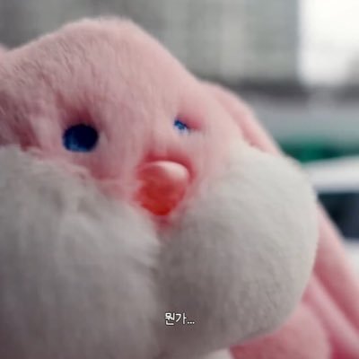 リス