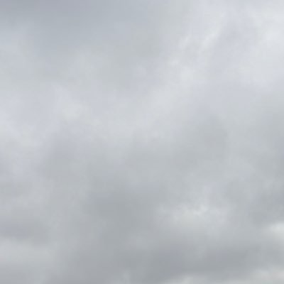 みみみ