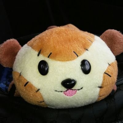 翼