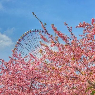 つかぴっぴ