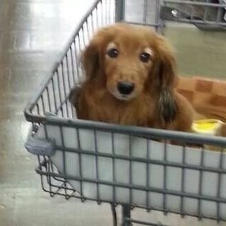 つっきー🌙🌟💚