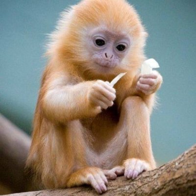 つくもさんのゴミ置き場