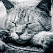 青い空　救いを求めて