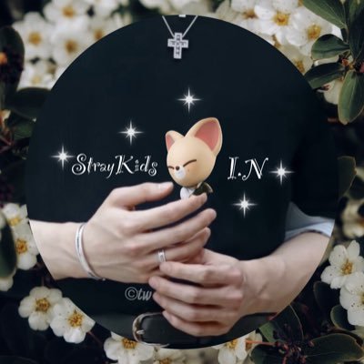 ｡*☆🍞とわ(토와)🦖☆*。