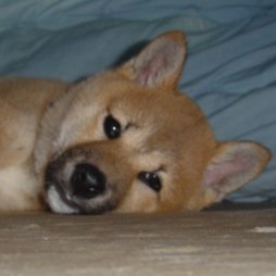 書斎に窓がない