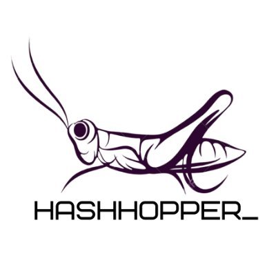 @txHash_Hopper