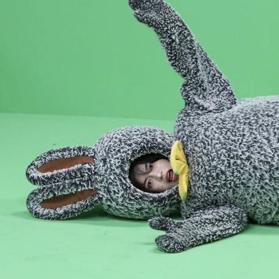 わたげになりました