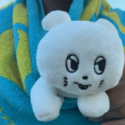 アカデミアナッツ