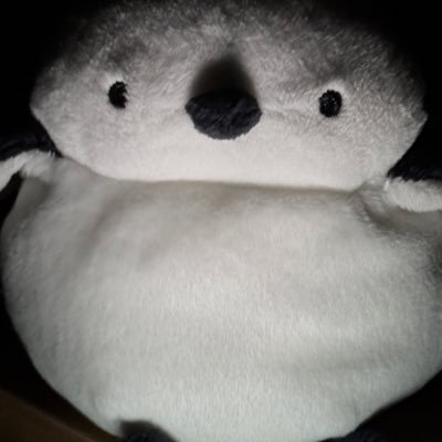 中庸くん