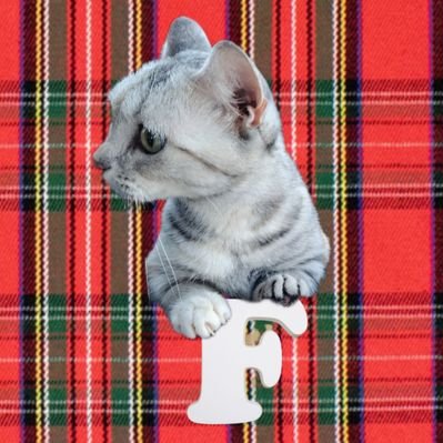 うみ🐱・FF5年目🦊