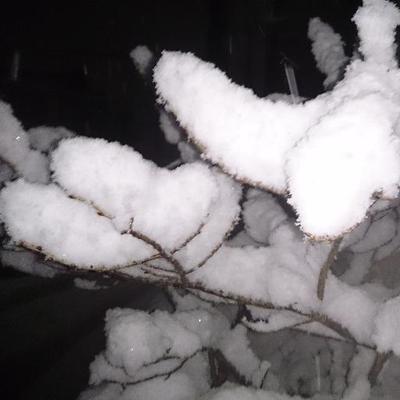 行く川の流れは絶えずして