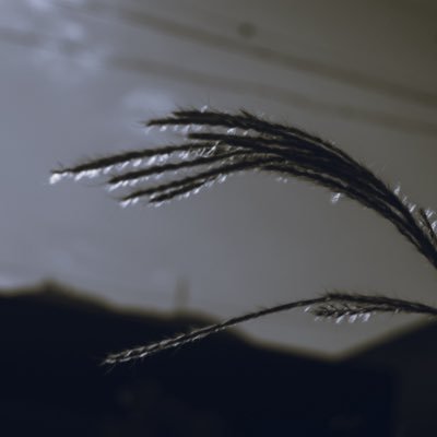 筒井右似六　商業写真家ℜ☺︎🌜🍥