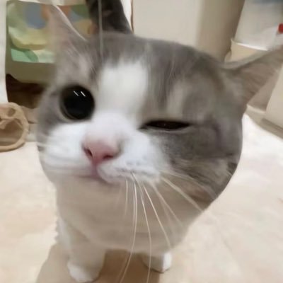 もう
