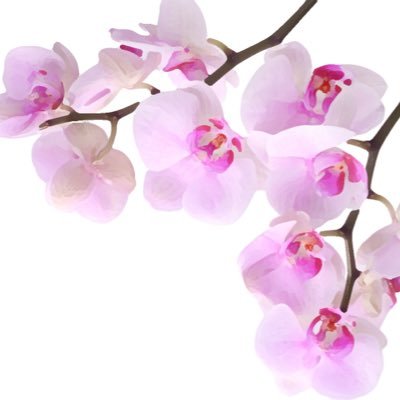 🌷右端🌷