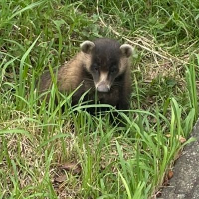 晩年富ボヂｨ〜･うに