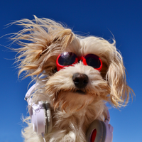 ヴァジュラ𝔦𝔡