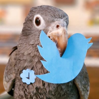 𖥧𖧧𖥣𖥧𖤣𓅂𓅫✽vanilla✽𓅩𖤣𖥧𖥣𖧧𖥧