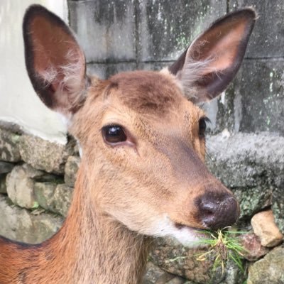 ブラックコーヒーファッキングヘル
