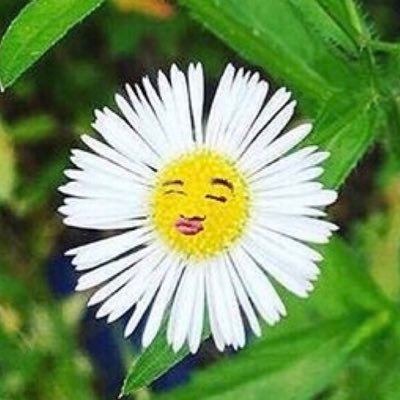 キムチヂミ☀️