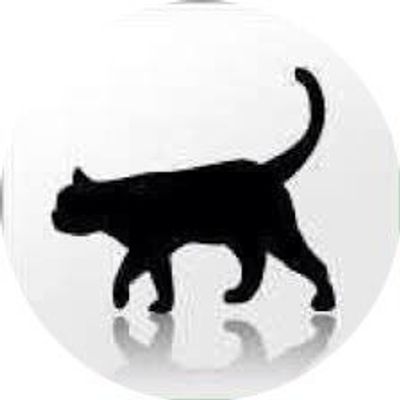 かわめろ💁‍♀️