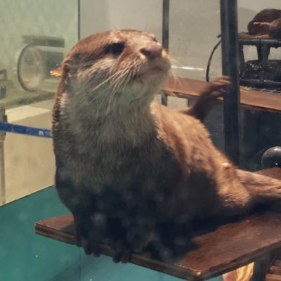 プラズマ・ドロップ