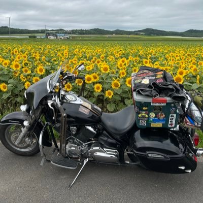 WBゆうじ🐈‍⬛