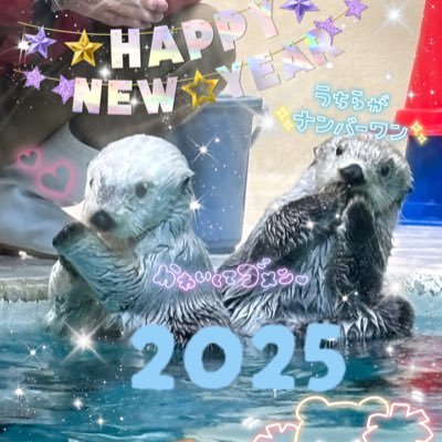 のんびりラッコちゃん(・(ᴥ)・)♡＠鳥羽水族館に住みたい
