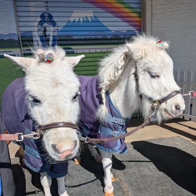 海外競馬アカウント