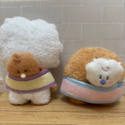 Hana momoyou🐹🐱