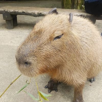 はまじ🩵🩷来季こそ！🦅日本一！