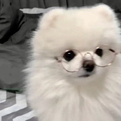 ^. .^（固ツイご確認ください）