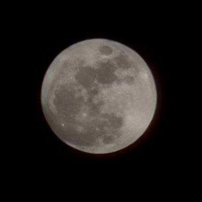 izumi 🌕