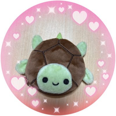 かんかん🐢