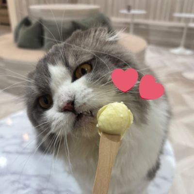 ジュン